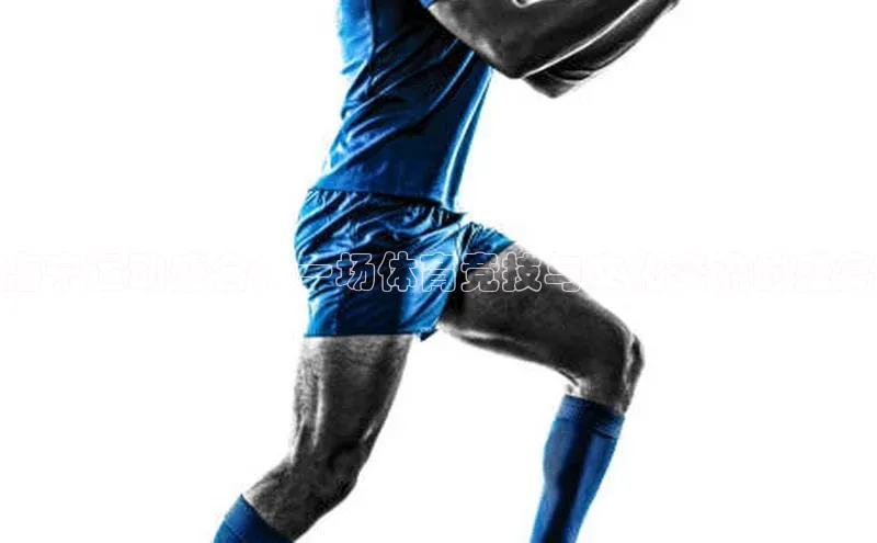 mk体育在线官网遥望科技海宁运动盛会：一场体育竞技与文化交流的盛宴