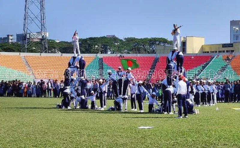 冠军引领者：[运动赛事领队名称]的领导力与策略分析
