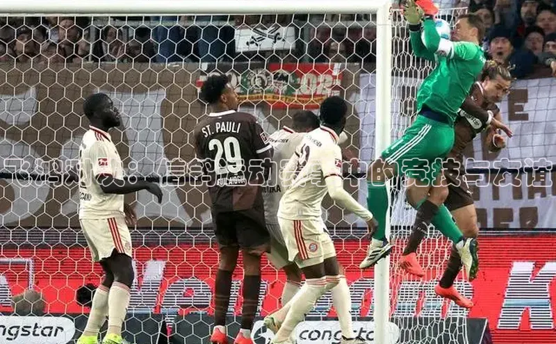 飞鸿对决：信鸽运动赛事中的竞技与友谊