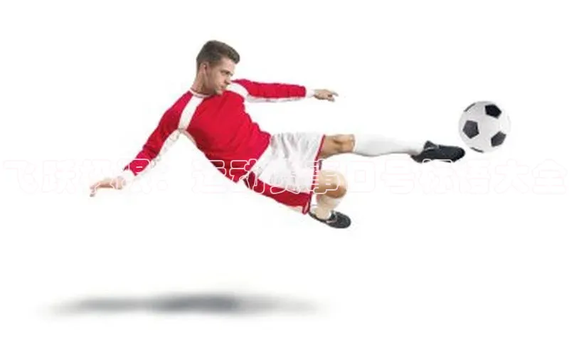 飞跃极限：运动赛事口号标语大全