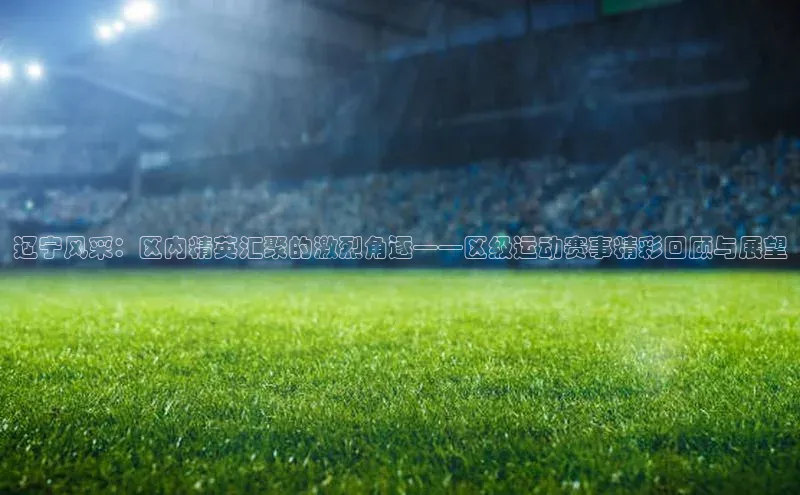 辽宁风采：区内精英汇聚的激烈角逐——区级运动赛事精彩回顾与展望