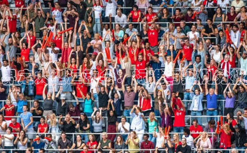 界定大型运动会：标准与案例分析