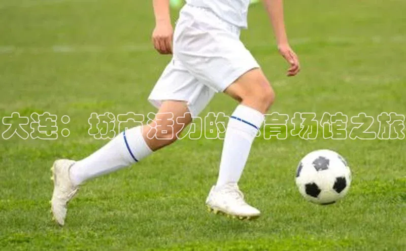 大连：城市活力的体育场馆之旅