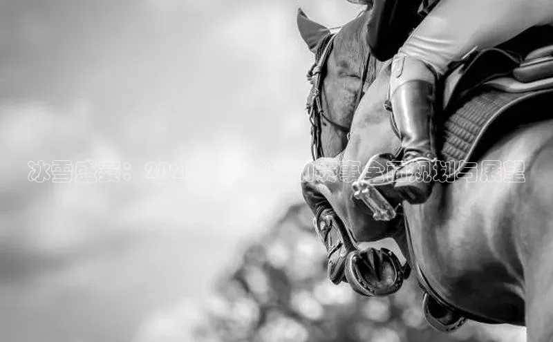 冰雪盛宴：2023年冬季运动赛事全面规划与展望