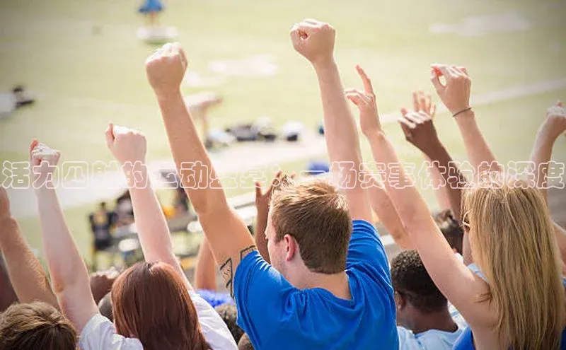活力四射的运动盛宴：一场赛事体验的深度