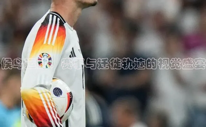 候鸟运动：赛事与迁徙轨迹的视觉盛宴