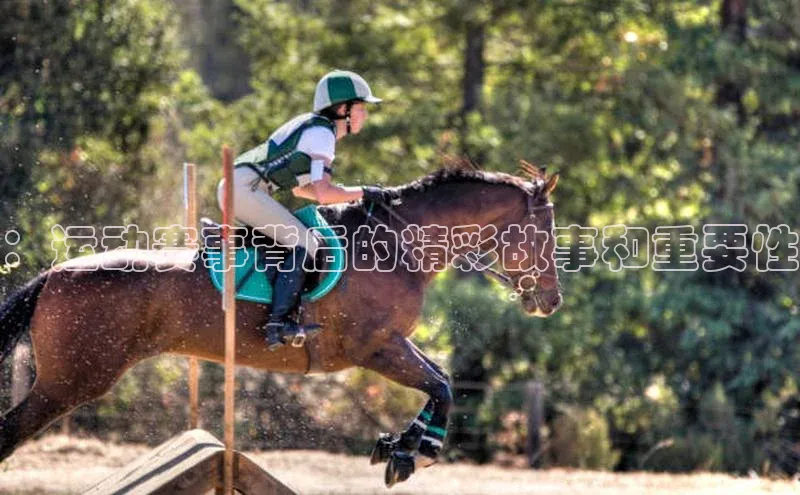 ：运动赛事背后的精彩故事和重要性