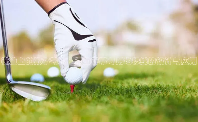 赛道上的数字奇迹：运动赛事专用地标线的设计与应用