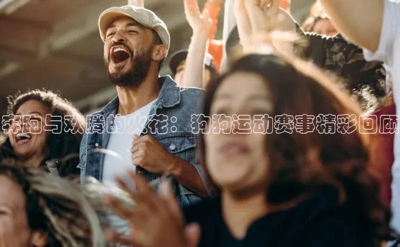 奔跑与欢腾的火花：狗狗运动赛事精彩回顾