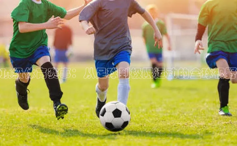 顶级体育赛事：从足球到极限运动的全球视野