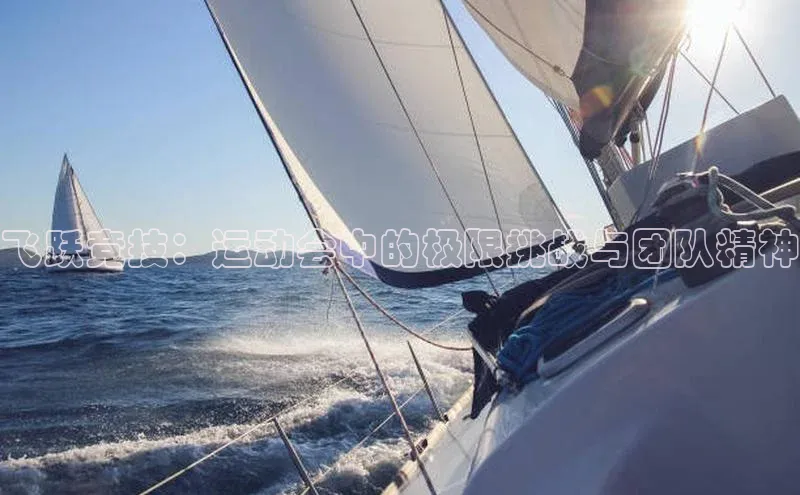 飞跃竞技：运动会中的极限挑战与团队精神