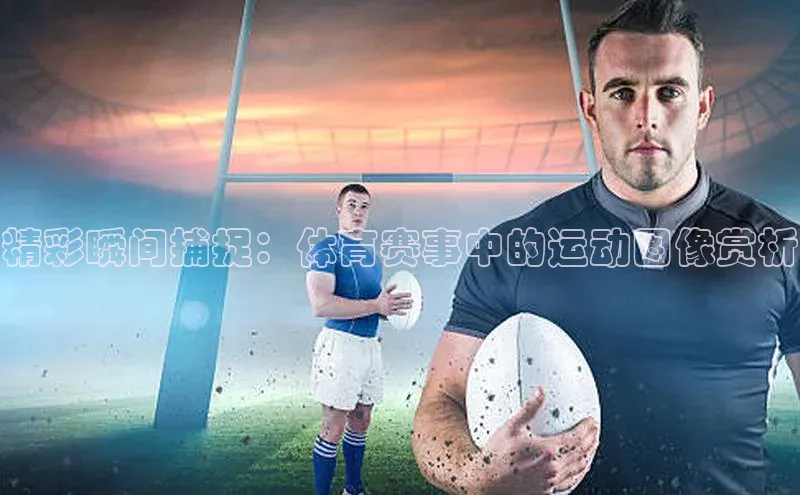 MKsport官网下载入口