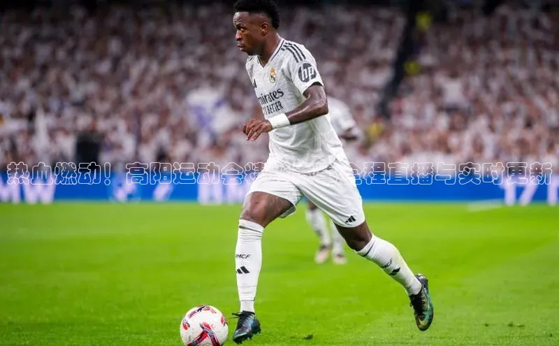 MK体育在线登录入口