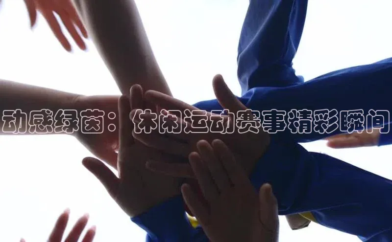 MK体育官方网站入口