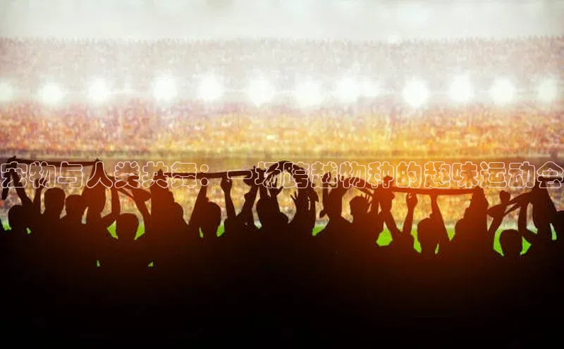 宠物与人类共舞：一场跨越物种的趣味运动会