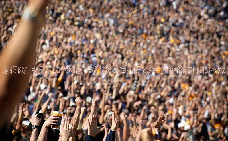 绿茵场上的邻里互动：分析社区运动会赛事的评价与影响因素