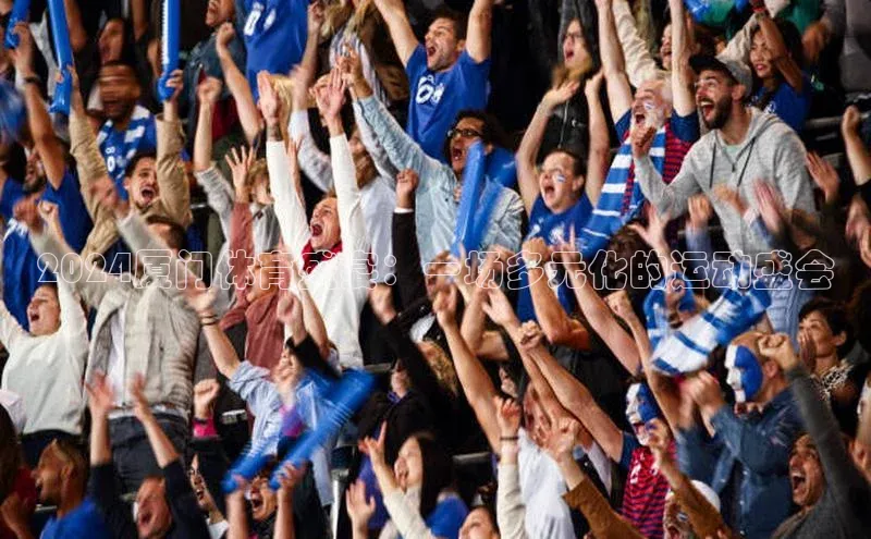 2024厦门体育盛宴：一场多元化的运动盛会