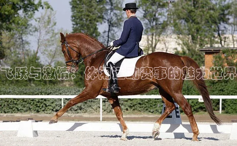 飞跃与激情：休闲运动赛事的魅力世界